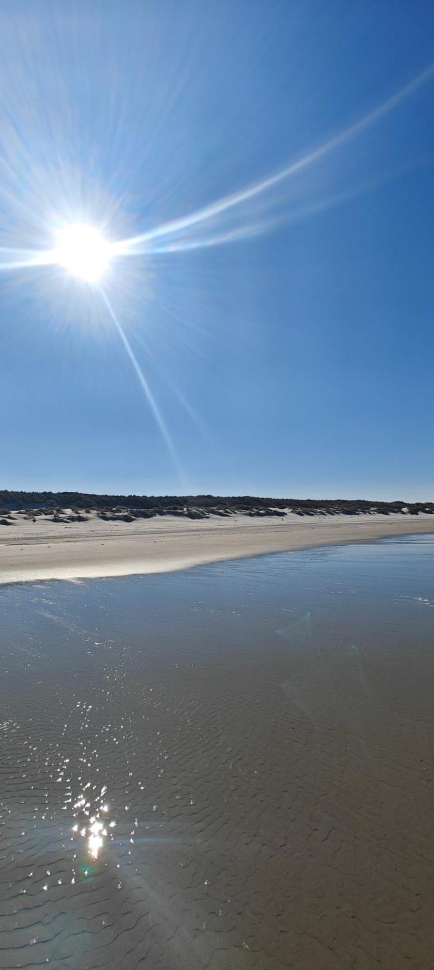 Pension Bakema Ameland Nes  Esterno foto